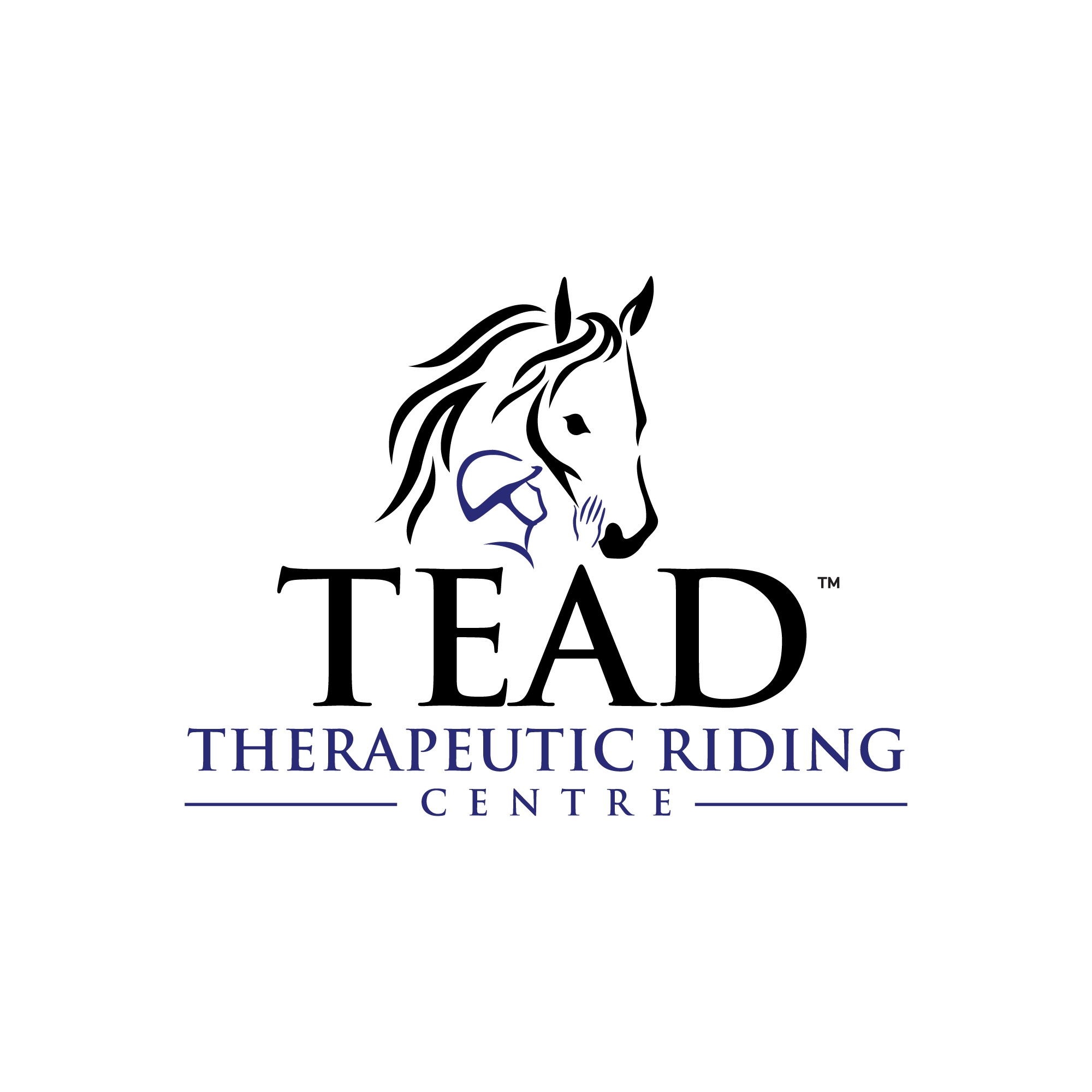 TEAD's new logo, featuring the silhouettes of a participant and a horse.