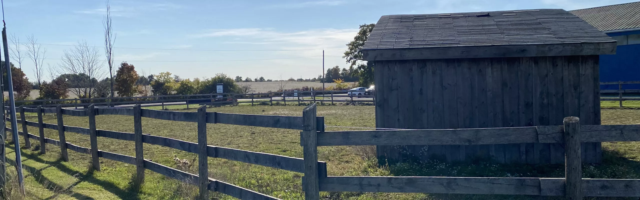 A view of our front paddock. 