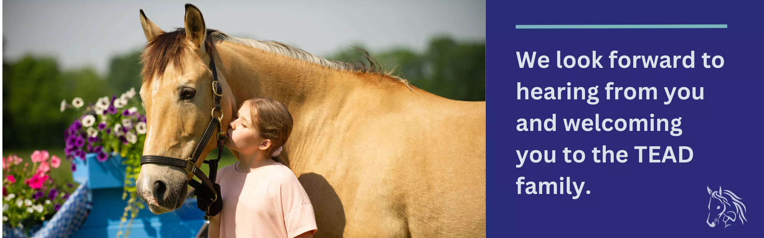 Horse and participant