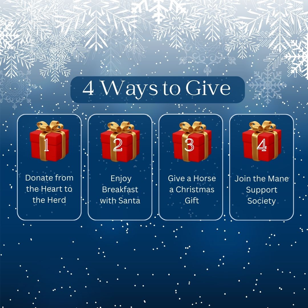 https://www.canadahelps.org/en/charities/TEAD/campaign/a-herds-holiday-wish/