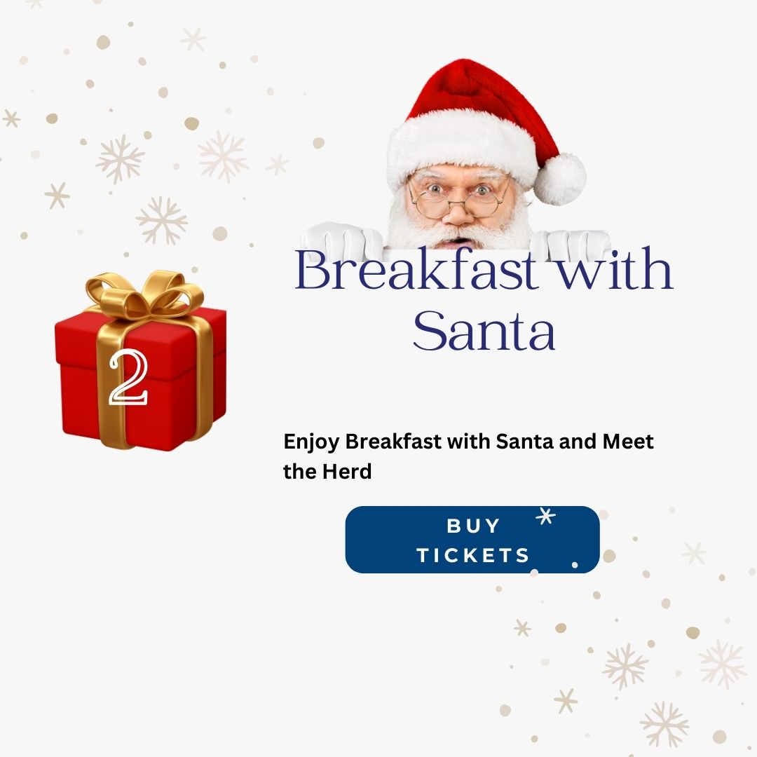 https://www.canadahelps.org/en/charities/TEAD/events/breakfast-with-santa-2024/
