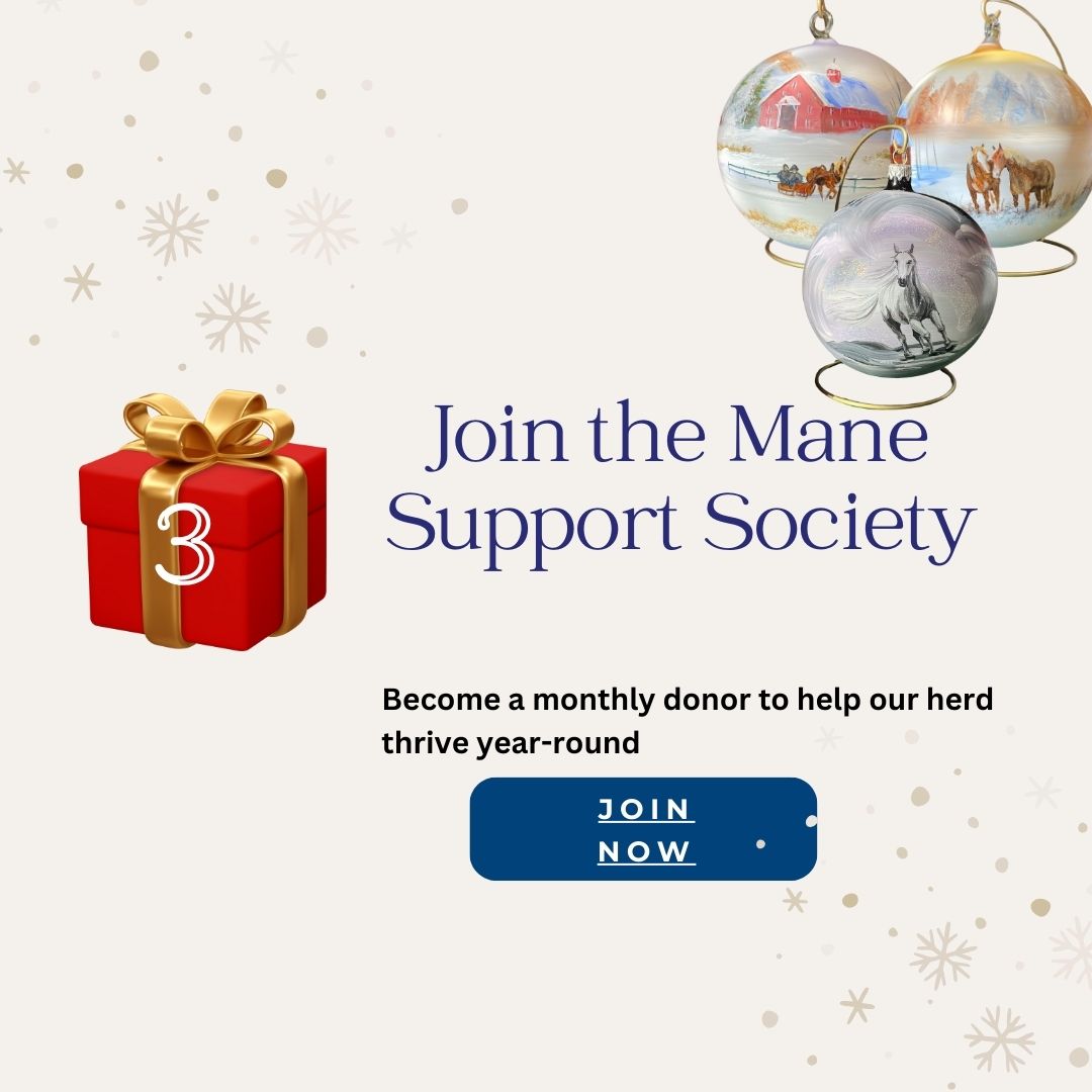 https://www.canadahelps.org/en/dn/123551
