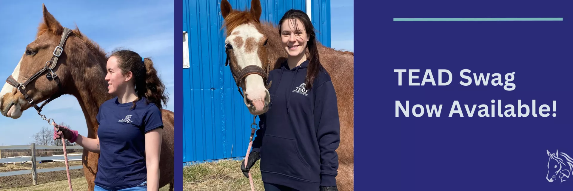 two TEAD staff members each standing beside a horse sporting a TEAD t-shirt & hoodie